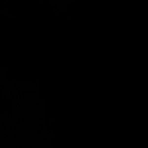 Meet your Posher, Ariaan